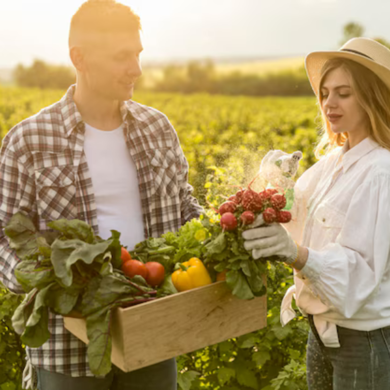 Understanding Soil Health in Organic Farming