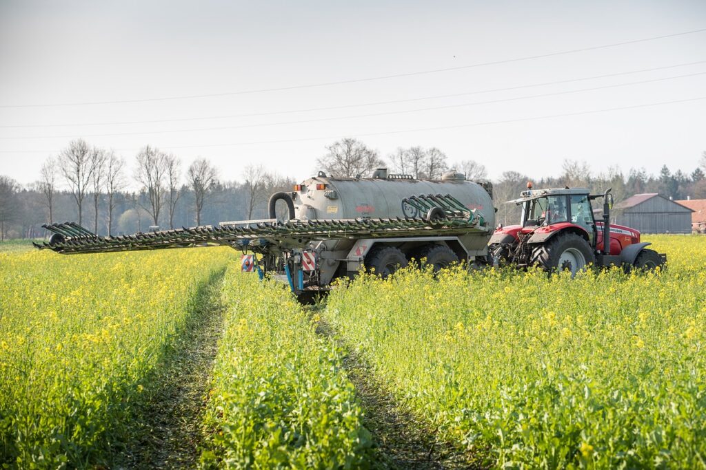 Crop Rotation and Intercropping