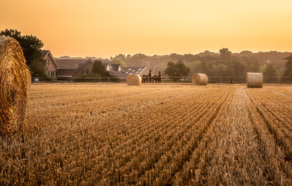 Post Harvest Handling and Storage