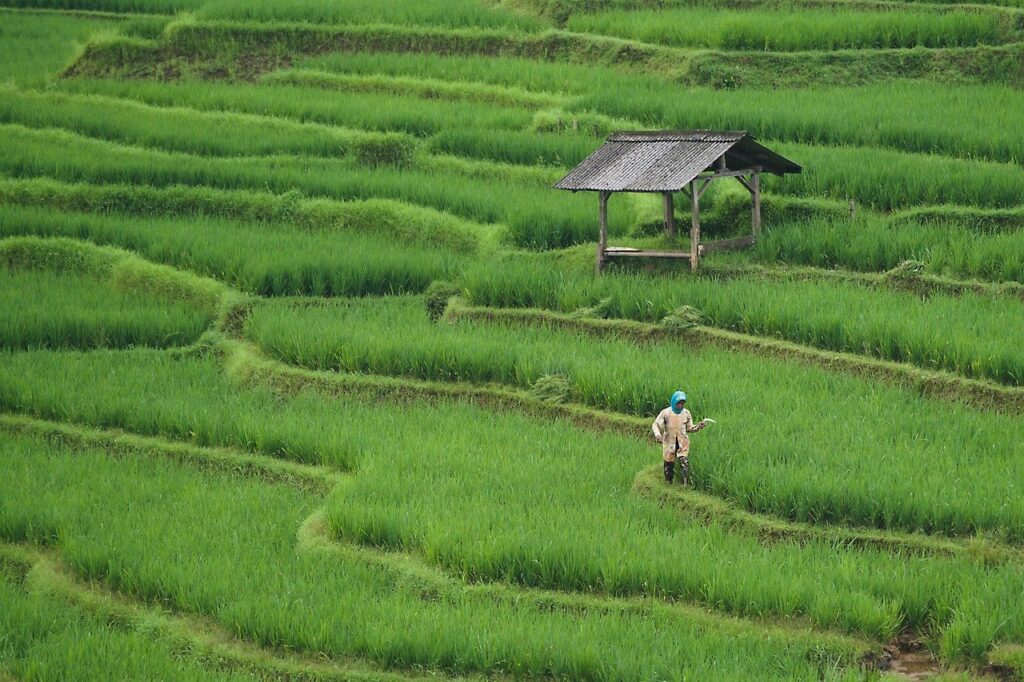 sustainable farming workshops and trainings