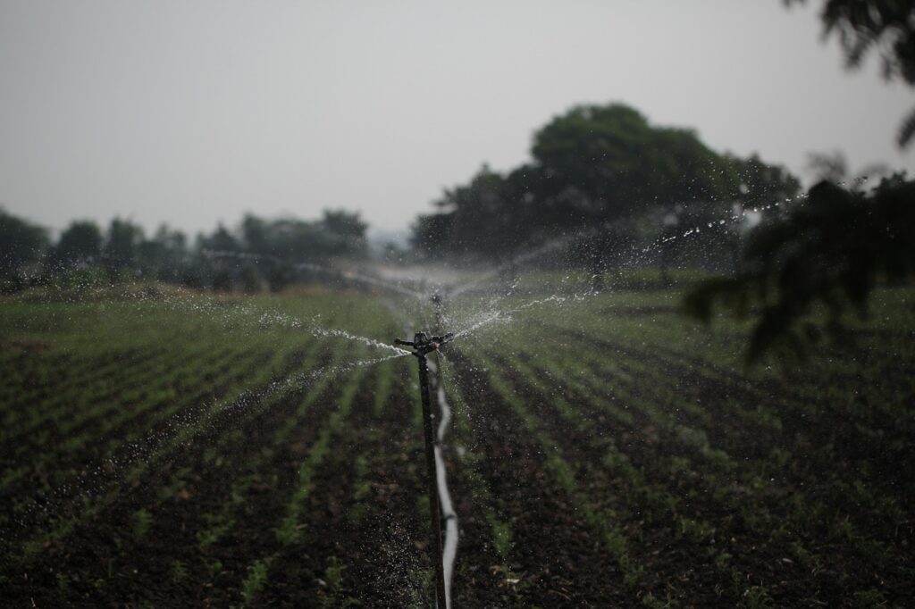 Irrigation and Water Conservation