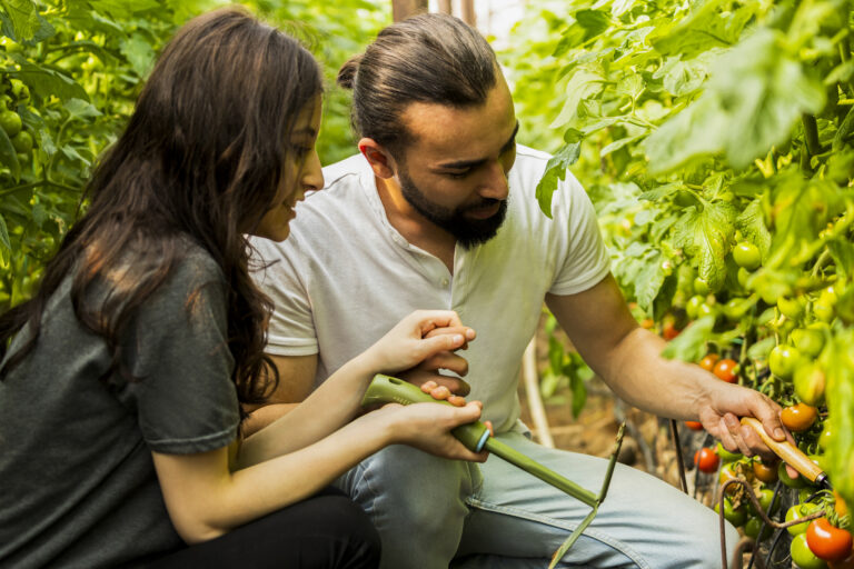 Understanding Soil Health in Organic Farming