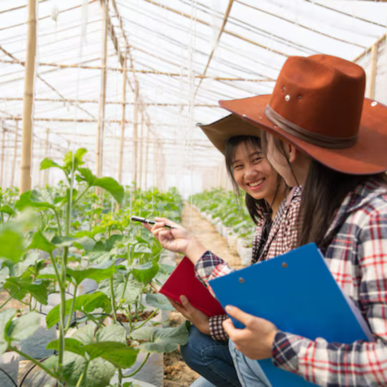 Essential Tips for Starting an Organic Farm